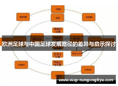 欧洲足球与中国足球发展路径的差异与启示探讨