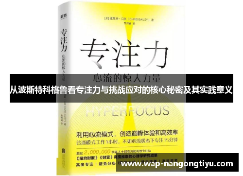 从波斯特科格鲁看专注力与挑战应对的核心秘密及其实践意义