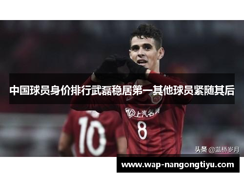 中国球员身价排行武磊稳居第一其他球员紧随其后