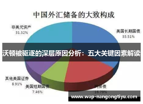 沃顿被驱逐的深层原因分析：五大关键因素解读