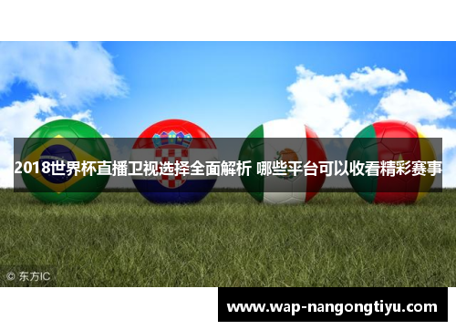 2018世界杯直播卫视选择全面解析 哪些平台可以收看精彩赛事