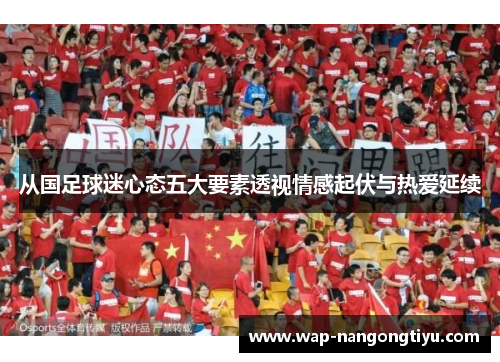 从国足球迷心态五大要素透视情感起伏与热爱延续